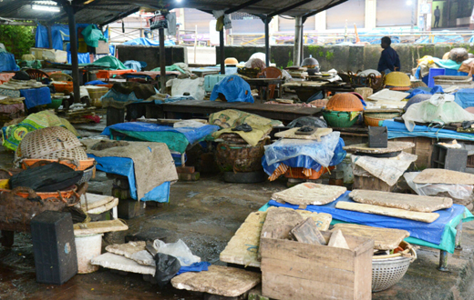 trade union strike mangaluru